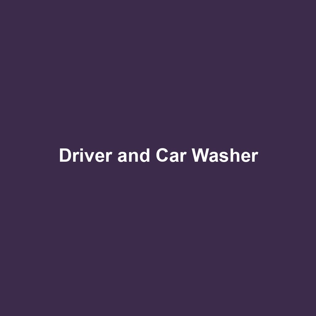 Driver and Car Washer