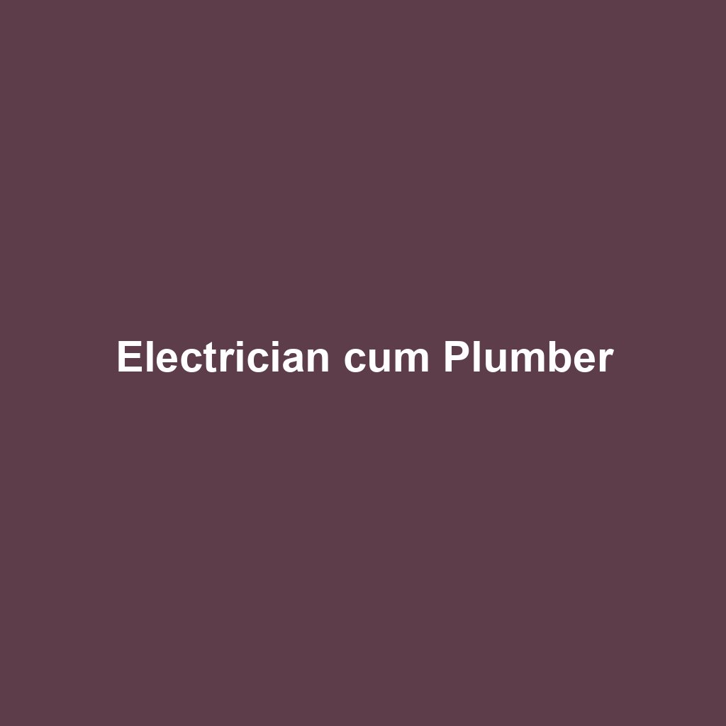 Electrician cum Plumber