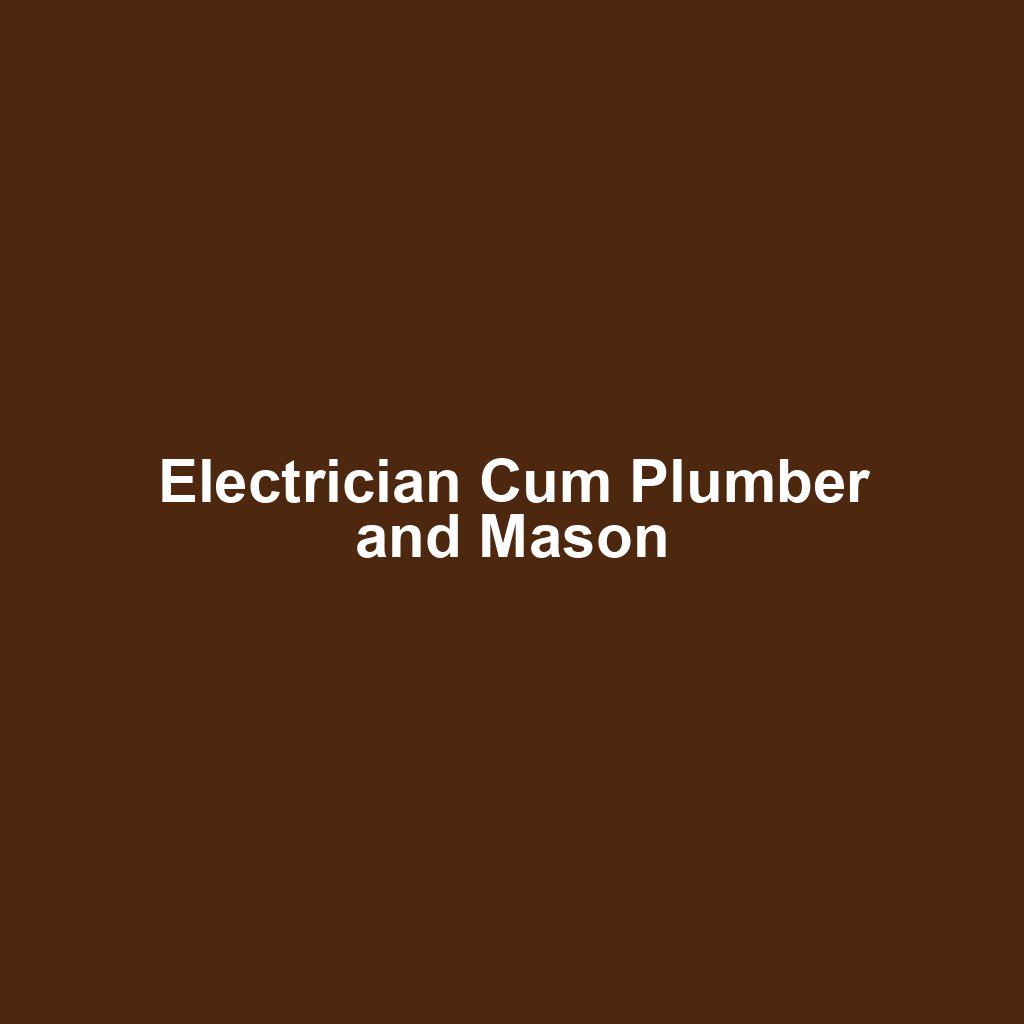 Electrician Cum Plumber and Mason