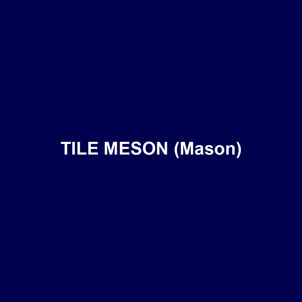 TILE MESON (Mason)