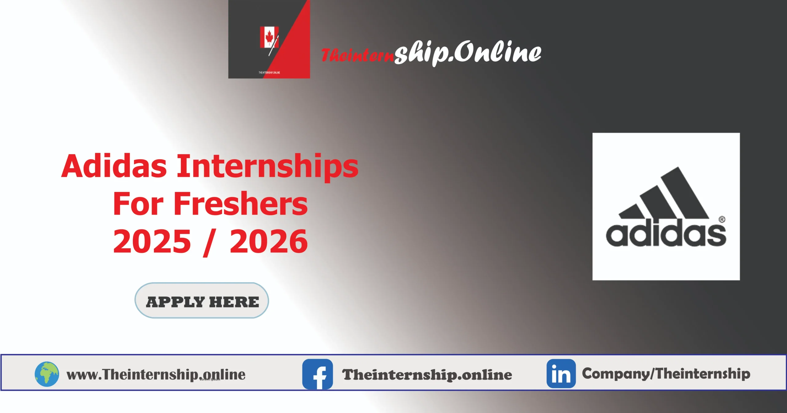 Adidas Internships