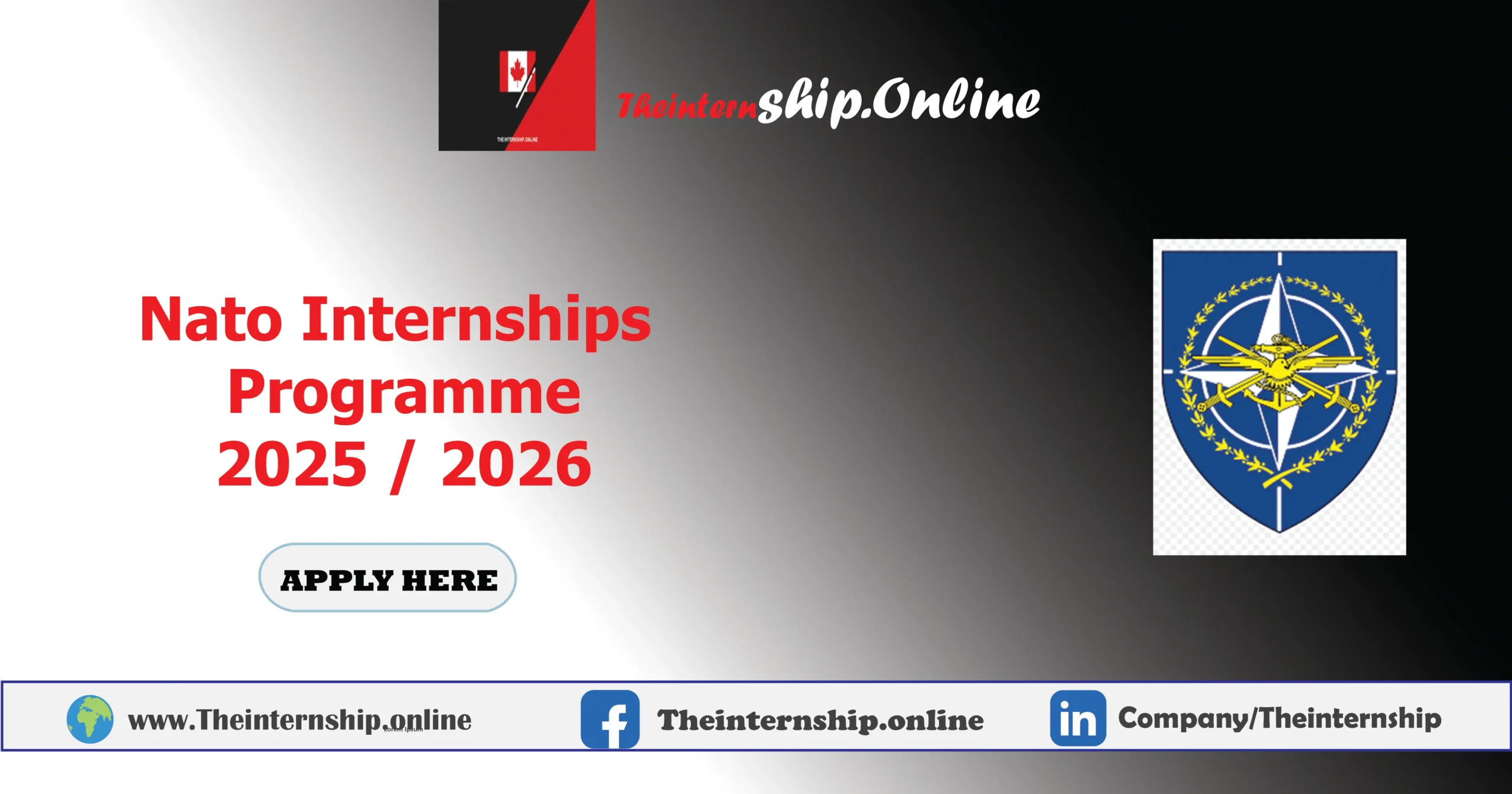 Nato Internships